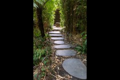 Royal Botanic Gardens, Melbourne (Norman Blaikie ©)