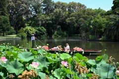 Royal Botanic Gardens, Melbourne (Sony Varma ©)