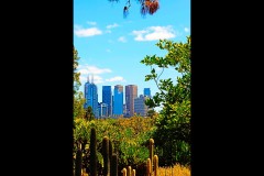 Royal Botanic Gardens, Melbourne (Doni Baz ©)