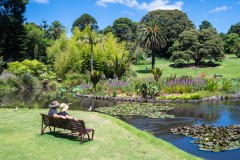 Royal Botanic Gardens, Melbourne (Norman Blaikie ©)