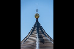 Royal Botanic Gardens, Melbourne (Norman Blaikie ©)