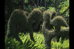 Royal Botanic Gardens, Melbourne (Joe Hajdu ©)