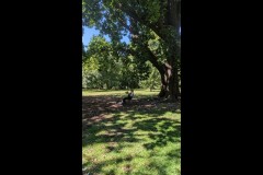 Royal Botanic Gardens, Melbourne (Robert Fairweather ©)