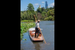 Royal Botanic Gardens, Melbourne (Jim Weatherill ©)