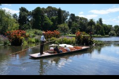 Royal Botanic Gardens, Melbourne (Jon Hogan ©)