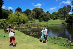 Royal Botanic Gardens, Melbourne (Sony Varma ©)