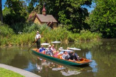 Royal Botanic Gardens, Melbourne (Norman Blaikie ©)