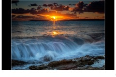 September 2019 Projected Digital Images; Judge - Maree Coote