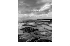 Pool of Kelp - Elizabeth Jackson (Highly Commended - Open B Grade - Sep 2019 PDI)