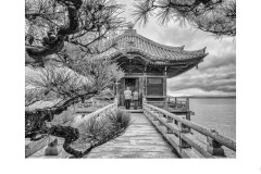 Peace - Alan Donald (Commended - Open A Grade - Sep 2019 PDI)