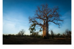 Kimberley Glow - Brian Seddon (Commended - Open A Grade - Sep 2019 PDI)