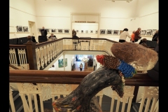 Shot in the Heart of Australia Exhibition (Joe Hajdu ©)