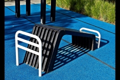 Sky-Rail Outing (Gerry Silk ©)