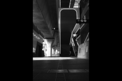 Sky-Rail Outing (Jo Kneebone ©)