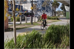 Sky-Rail Outing (Bob Clothier ©)