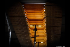 Sky-Rail Outing (Catherine Hickie ©)