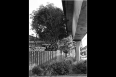 Sky-Rail Outing (Bob Clothier ©)