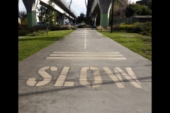 Sky-Rail Outing (Jo Kneebone ©)