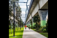 Sky-Rail Outing (Jim Weatherill ©)