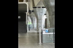 Sky-Rail Outing (Simon Beaven ©)