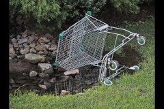 Sky-Rail Outing (Jim O’Donnell ©)