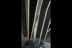 Sky-Rail Outing (Joe Hajdu ©)