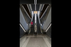 Sky-Rail Outing (Richard Lang ©)