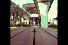 Sky-Rail Outing (Jo Kneebone ©)