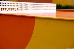 Sky-Rail Outing (Catherine Hickie ©)