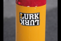 Sky-Rail Outing (Jim O’Donnell ©)