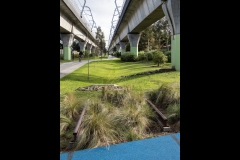 Sky-Rail Outing (Norman Blaikie ©)
