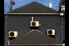 Sky-Rail Outing (Jo Kneebone ©)