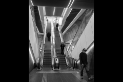 Sky-Rail Outing (Jim Weatherill ©)