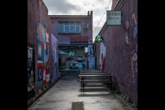 Sky-Rail Outing (Robert Fairweather ©)