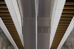 Sky-Rail Outing (Michael Brown ©)