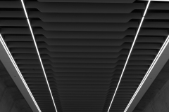 Sky-Rail Outing (Michael Brown ©)