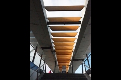 Sky-Rail Outing (Joe Hajdu ©)