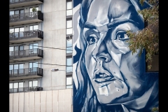 Sky-Rail Outing (Marg Huxtable ©)