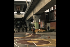 Sky-Rail Outing (Jo Kneebone ©)