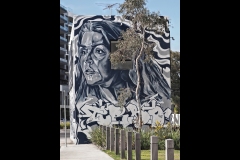 Sky-Rail Outing (Jim O’Donnell ©)