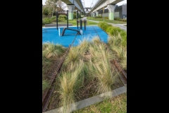 Sky-Rail Outing (Norman Blaikie ©)