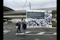 Sky-Rail Outing (Simon Beaven ©)