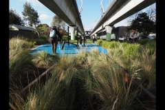 Sky-Rail Outing (Joe Hajdu ©)