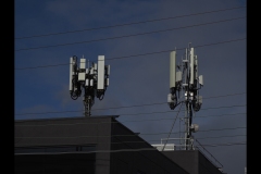 Sky-Rail Outing (Paul Palcsek ©)