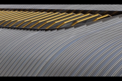 Sky-Rail Outing (Alan Scott ©)