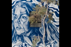 Sky-Rail Outing (Michael Brown ©)