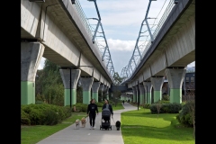 Sky-Rail Outing (Gerry Silk ©)