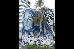 Sky-Rail Outing (Joe Hajdu ©)