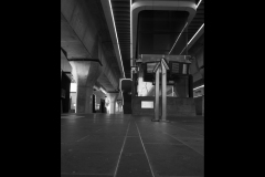 Sky-Rail Outing (Jo Kneebone ©)