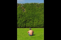 St Kilda Botanical Gardens Outing (Jim Weatherill ©)